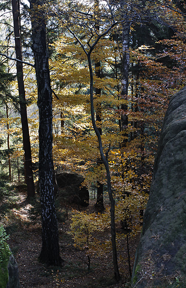 "Skalki Gorzeszowskie" - smaller format