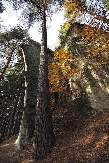 "Skalki Gorzeszowskie" - smaller format