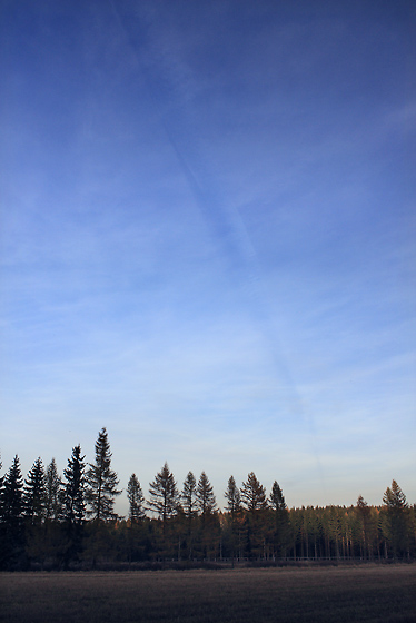 Vapour trail - smaller format