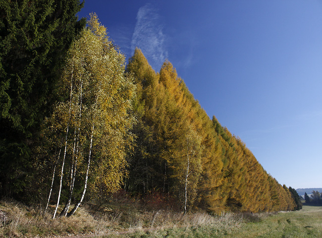 Under "Bischoffstein" - smaller format