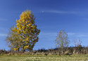 Na mezi - hlavn odkaz