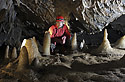 In the "Cristal Dome" - main link