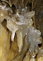 Dripstones - main link