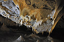 Dripstones - main link