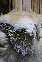 Moss and ice - main link