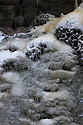 Moss and ice - main link