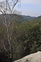 Vista form the "Goose Hill" - main link
