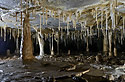 Dripstones - main link