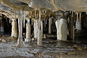 Dripstones - main link