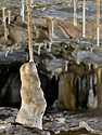 Dripstones - main link