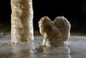 Dripstones - main link