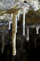 Dripstones - main link