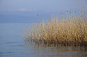 U Ochridského jezera - hlavní odkaz