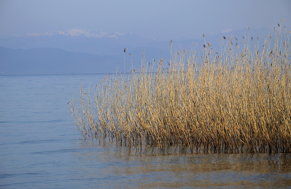 At the "Ohrid Lake" - larger format