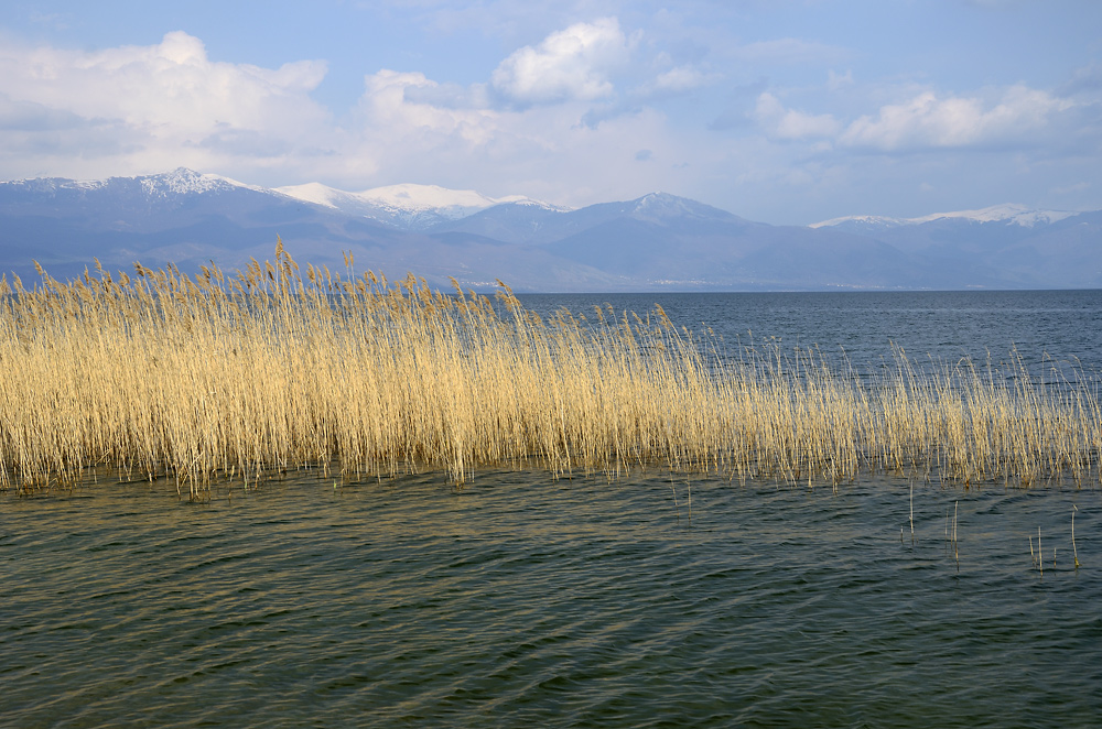 At the "Lake Prespa" - larger format