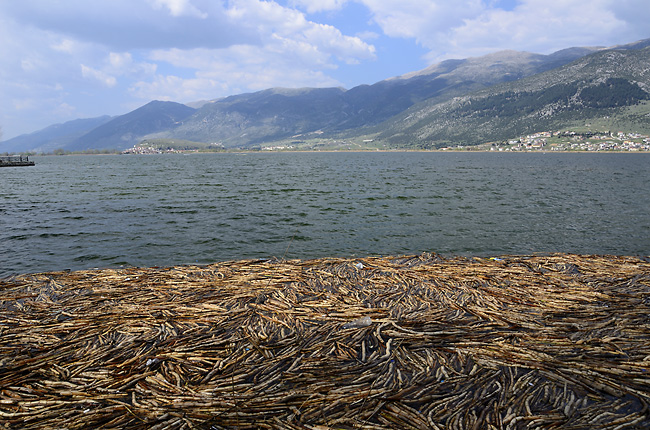 Jezero Pamvotis - men formt