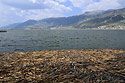 "Pamvotis Lake" - main link