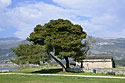 Citadel - main link