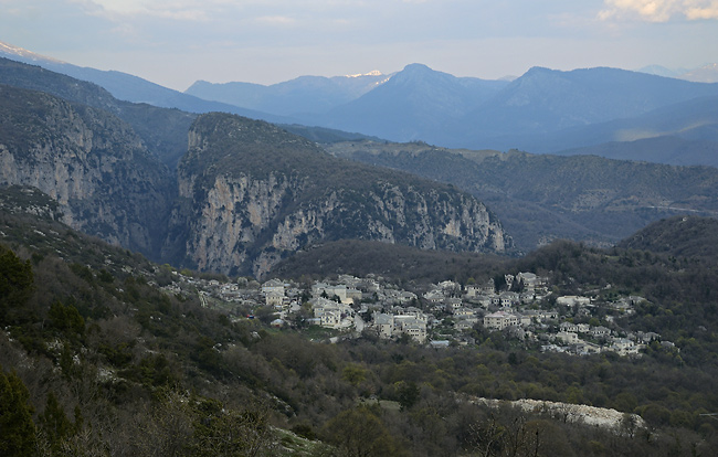 Monodendri - men formt