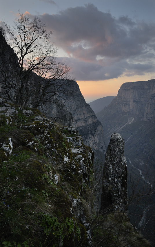 Kaon Vikos - vt formt