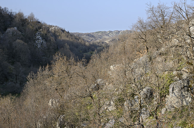 Tern nad kaonem - men formt