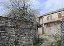 Monodendri - hlavn odkaz