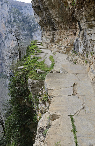 Path - smaller format