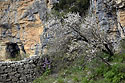 At the cave - main link