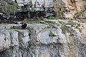 At the cave - main link