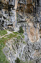 The last alcove - main link