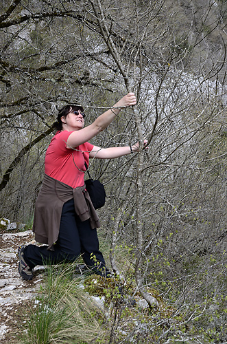 Photographying - smaller format