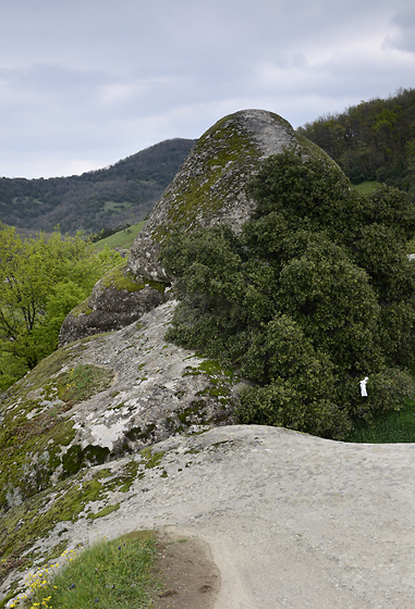On the rock - smaller format