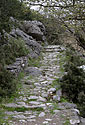 Old path - main link