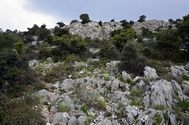 On the hillside - smaller format