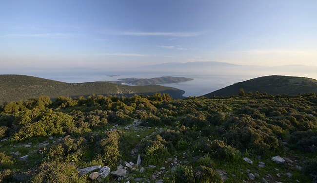 Morning over the gulf - smaller format