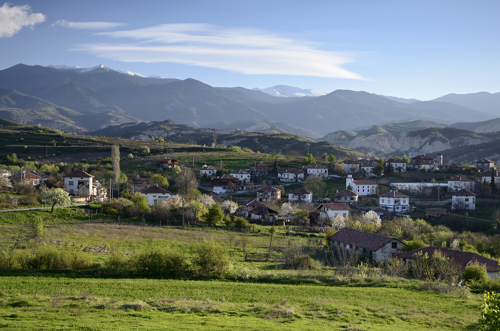 "Lozenica" - larger format