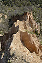 Sandy landscape - main link