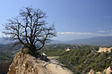 On the lookout - main link