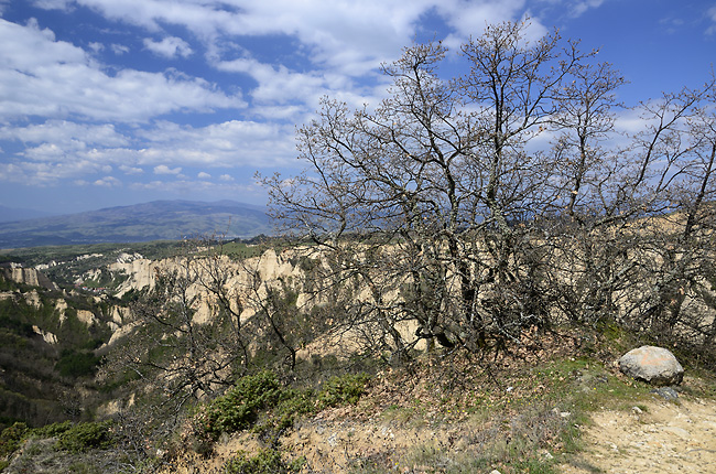 Over "Melnik" - smaller format