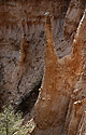 Column - main link