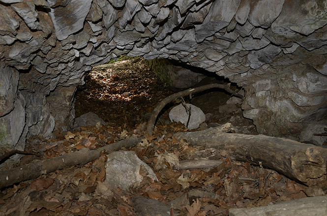 Vault - smaller format