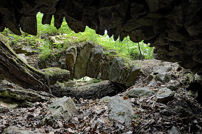 Vault - smaller format