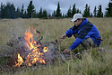 Camp fire - main link