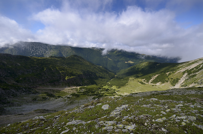 View to north - smaller format