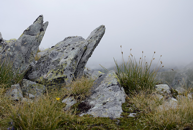 On the ridge - smaller format