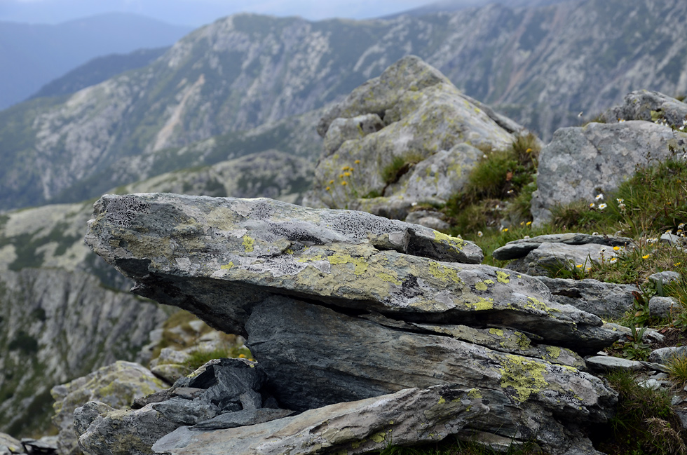 On the ridge - larger format