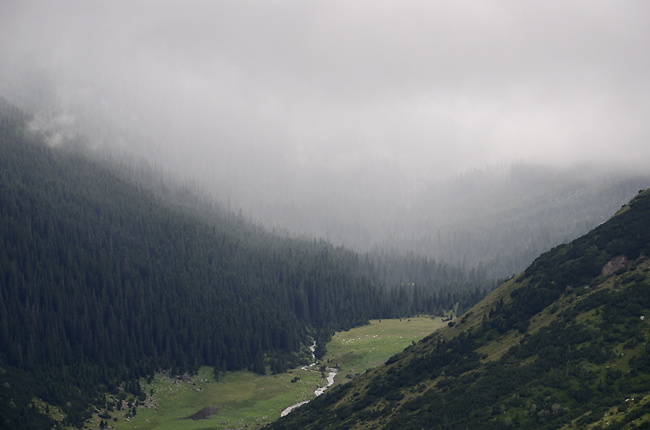 Rain - smaller format