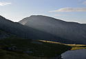 Morning rays - main link