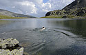 Cold bath - main link