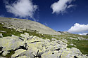 Hillside of "Papua" - main link